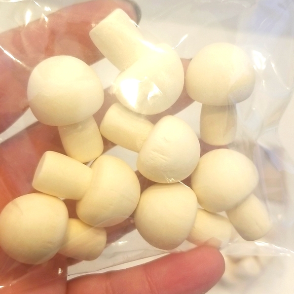 NEW 3 Sealed Bags of Wooden Mushroom for Crafts - Picture 4 of 4